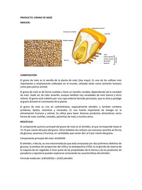 Esquema que muestra la obtención del almidón a partir del endosperma del grano de maíz mediante procesos de limpieza y molienda.