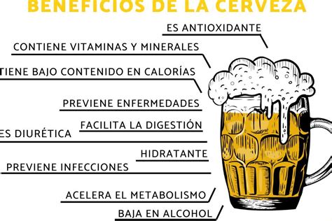 Infografía comparativa de los beneficios para la salud de un consumo moderado de cerveza.