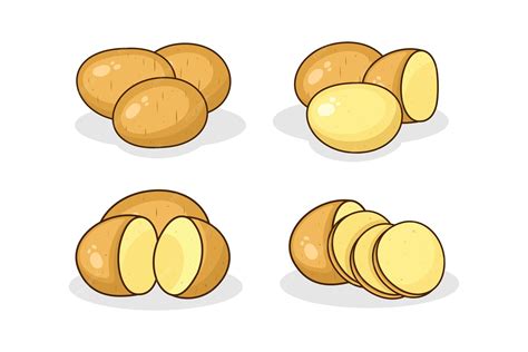 Ilustración de diferentes tipos de papas