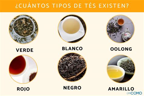 Esquema de las temperaturas ideales para cada tipo de té (verde, blanco, negro, oolong, herbal)