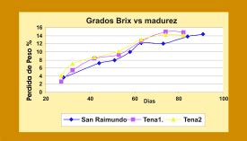 Gráfica de la evolución de los grados Brix a lo largo del tiempo en la fermentación del hidromiel.
