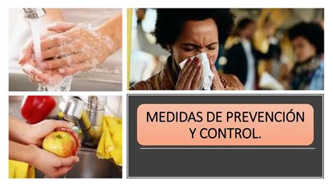 Tabla resumen de las medidas de control y prevención del CaMV