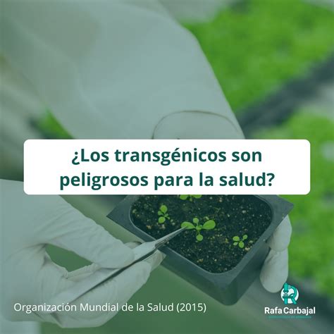 Gráfico comparativo de la seguridad de cultivos transgénicos vs convencionales