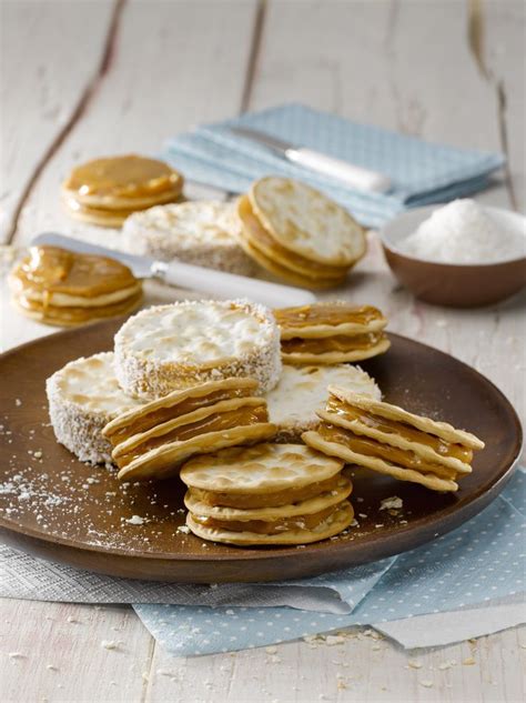 Ingredientes para terrina de manjar, incluyendo galletas, manjar y crema