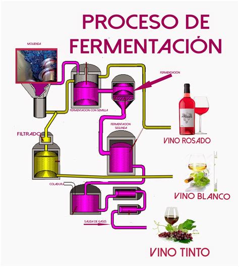 Esquema del proceso de fermentación para la elaboración de melaza de arroz