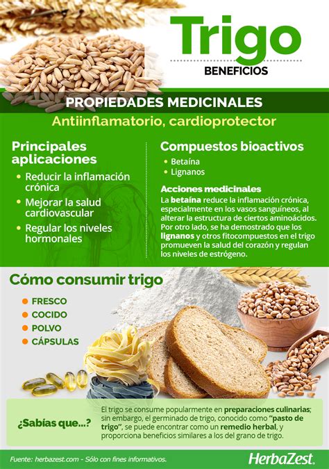 infografía sobre las propiedades del trigo duro y la sémola, mostrando sus características principales