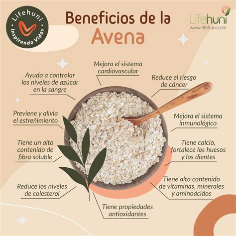 diagrama que ilustra el proceso de remojo de la avena en yogur y sus beneficios digestivos.