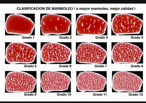 Esquema explicando los diferentes grados de marmoleo en la carne