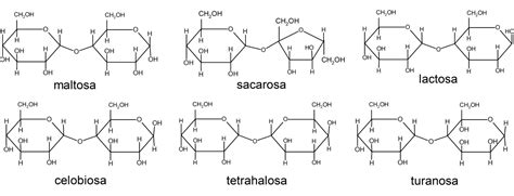 Ilustración de la estructura molecular de los oligosacáridos presentes en la leche de cabra.