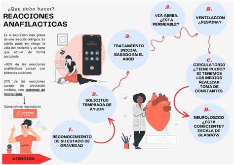 Esquema de la reacción anafiláctica y sus efectos en el cuerpo