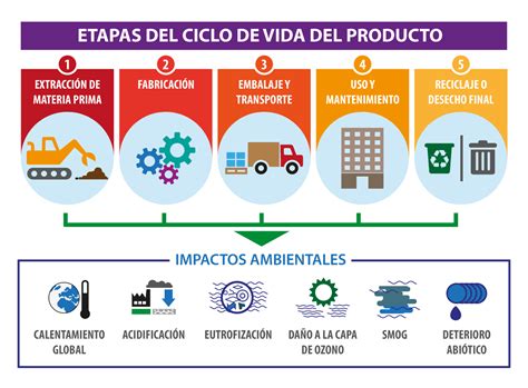 Infografía sobre el ciclo de vida de la merluza común y los impactos de la pesca de juveniles