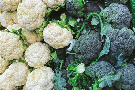Infografía comparativa: alcachofa, brócoli, coliflor y alcaparras como flores inmaduras