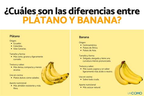 Infografía: Diferencias entre plátano macho y banana