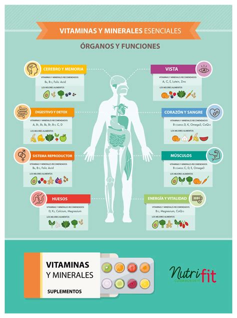 Esquema de vitaminas y minerales presentes en el cerdo y su función en el cuerpo humano
