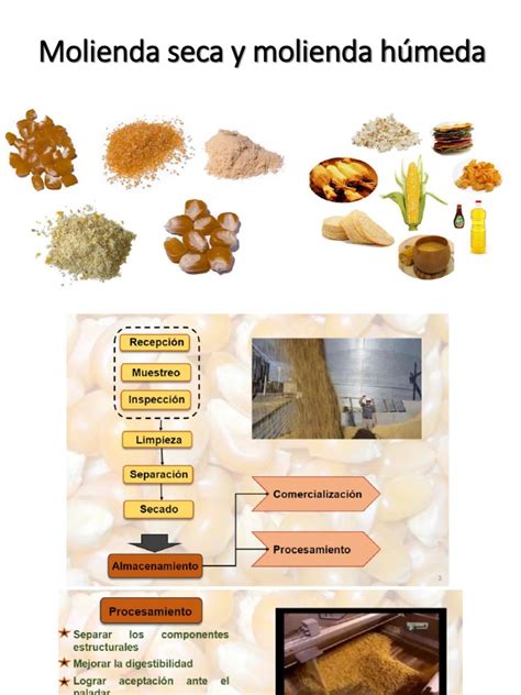 infografía detallando el proceso de molienda húmeda del almidón de yuca