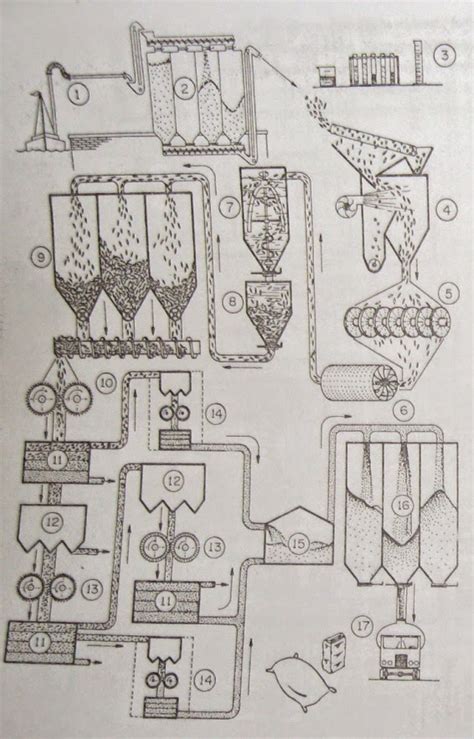 Diagrama del proceso de molienda del trigo