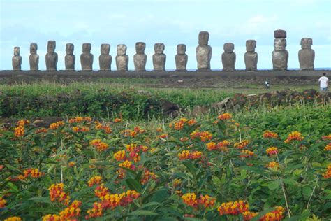 Fotografía de los icónicos Moais en el paisaje de Rapa Nui, principales atractivos turísticos de la zona.