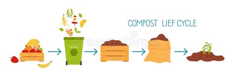 Esquema visual que muestra el ciclo de vida, desde el cultivo en compost hasta el envasado y refrigeración final.