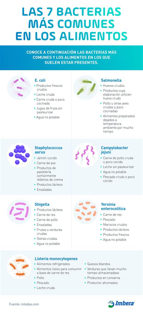 Infografía sobre bacterias comunes en alimentos