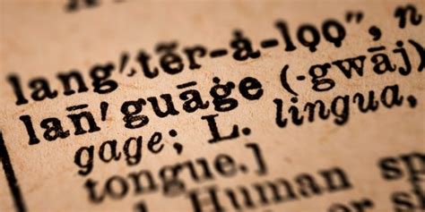 Esquema que muestra la etimología de la palabra
