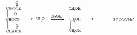 Esquema de la reacción de hidrólisis de un triglicérido en presencia de agua y lipasa, mostrando la formación de ácidos grasos y glicerol.
