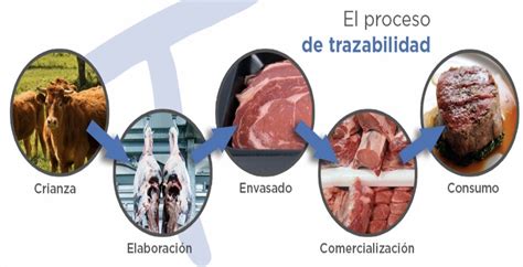 Infografía sobre la trazabilidad y calidad de la carne Angus utilizada por Cecinas Llanquihue