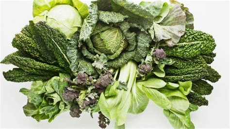 Infografía: Tipos de verduras de hoja verde aptas para la siembra otoñal