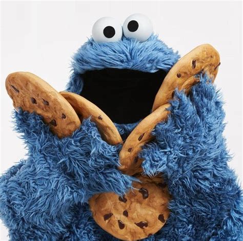 Foto del Monstruo de las Galletas comiendo una galleta