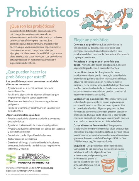Infografía comparando probióticos y prebióticos