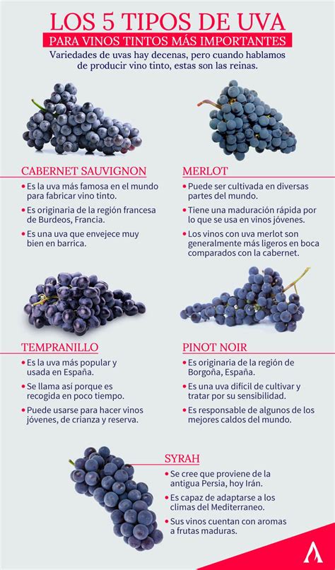 Tabla comparativa de cepas de levadura comercial para vino con sus características principales