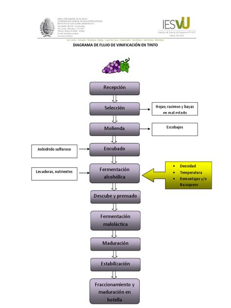 Diagrama de flujo del proceso de fermentación del vino, mostrando la adición de levaduras y las etapas clave