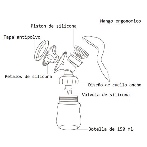 Esquema de las partes de un extractor de leche y su limpieza