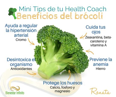 Infografía detallando los nutrientes y beneficios del brócoli.