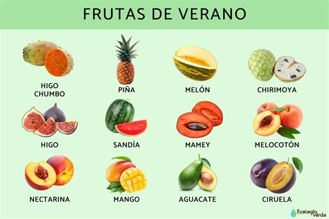 Variedad de frutas tropicales con sus nombres en inglés