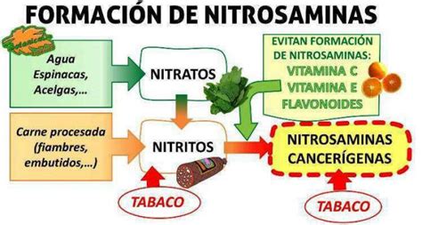 Gráfico o esquema explicando la contaminación por nitritos en alimentos