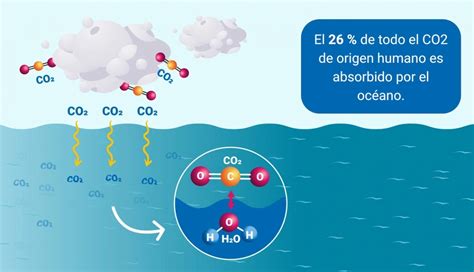 infografía sobre cómo el CO2 del agua con gas crea burbujas en el rebozado para hacerlo más crujiente
