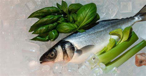 Esquema de cómo almacenar pescado fresco en el refrigerador