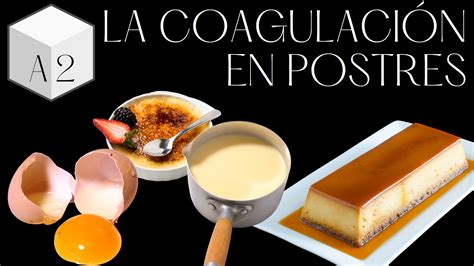 Infografía sobre temperaturas de coagulación de huevo y seguridad alimentaria
