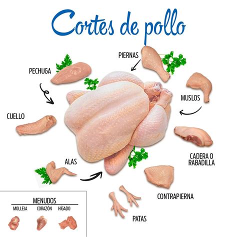Infografía mostrando los diferentes cortes del pollo y sus usos culinarios