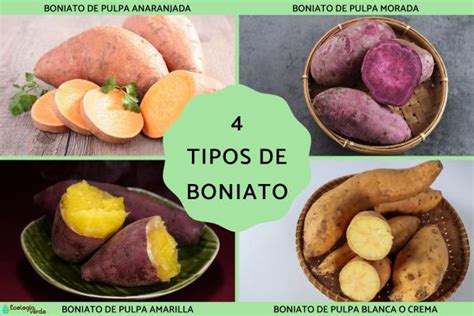 Infografía: Tipos de boniato según el color de su piel y pulpa