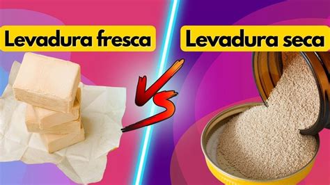 Representación gráfica de la diferencia en la fermentación entre levadura fresca y seca