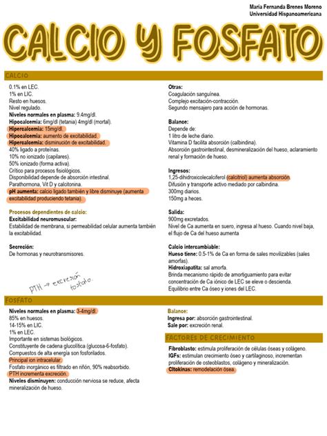 Esquema de las diversas formas de fosfato de calcio