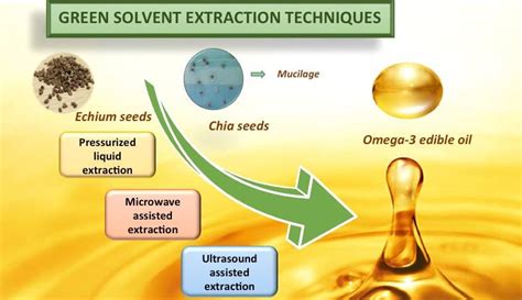 Esquema de las primeras técnicas de extracción de aceites vegetales