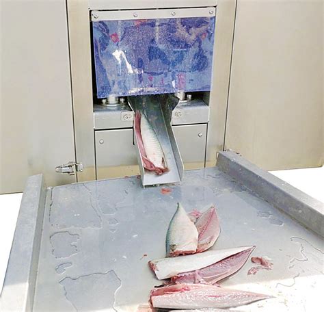 Foto de una máquina de fileteado automatizada de salmón