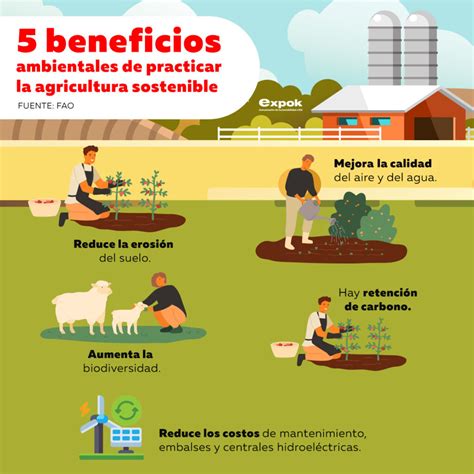 infografía sobre los beneficios del cultivo de garbanzo en la agricultura sostenible