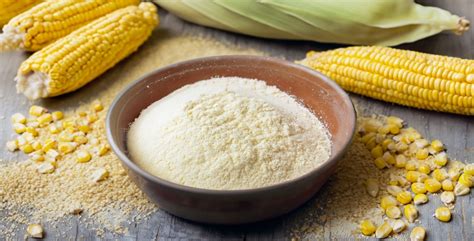 Tabla comparativa de ingredientes: maíz fresco vs. harina de maíz y su función en la masa