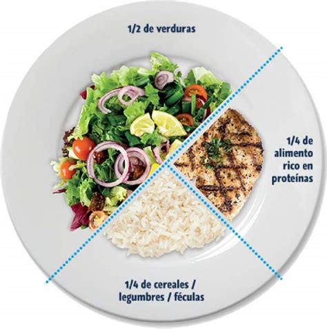 Diseño de plato con la mitad de verduras, un cuarto de proteínas y un cuarto de carbohidratos
