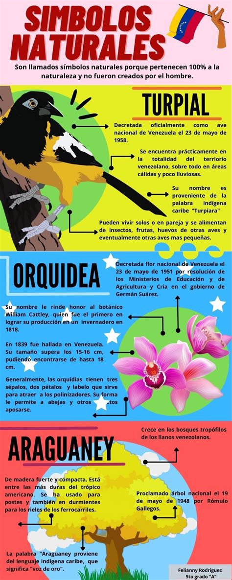 Infografía que ilustra los símbolos de las comunidades pro-Ana y pro-Mía, como las pulseras rojas y moradas y el lazo blanco.