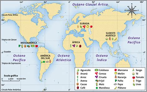 Infografía: Mapa mundial mostrando el origen geográfico de ensaladas icónicas como la César, la Niçoise y el Tabulé