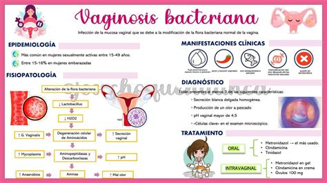 Esquema de la flora vaginal saludable y desequilibrada (vaginosis bacteriana)